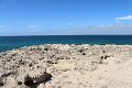 IMG_9334