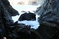 IMG_9414