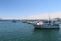 IMG_0423