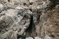 IMG_1285