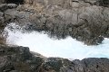IMG_7951