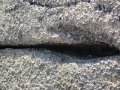 k-IMG_0168