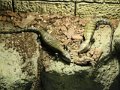 k-IMG_2070