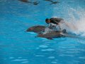 k-IMG_2101