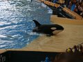 k-IMG_2172