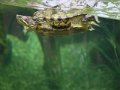k-IMG_2213