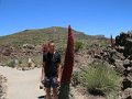 k-IMG_2641