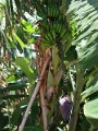 k-IMG_1956