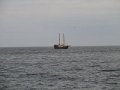 k-IMG_2509