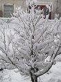 k-IMG_3684